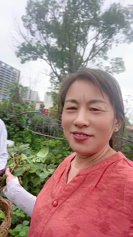 种菜人的快乐，菜园的真实生活