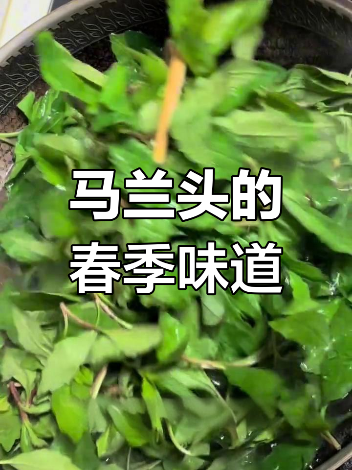 春天的马兰头,嫩滑又美味!教你如何挑选和烹饪