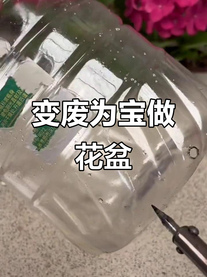 废旧油壶变花盆,简单改造让生活更美