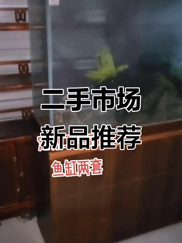 定州二手市场新货上架:高档浴缸、鞋柜和卫浴柜等你挑