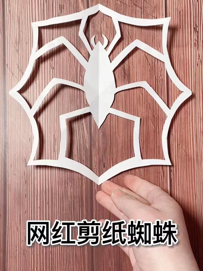电影网红剪纸蜘蛛 亲自手工剪纸作品小动物