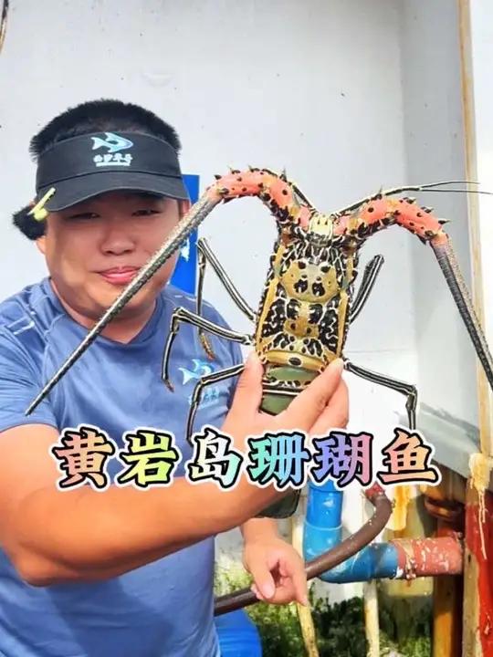 黄岩岛珊瑚鱼 西沙海鲜千千万，不仅好吃又好看