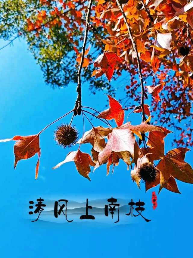 旅行推荐官 原创视频 手机摄影 创作人计划 京山天沐温泉酒店