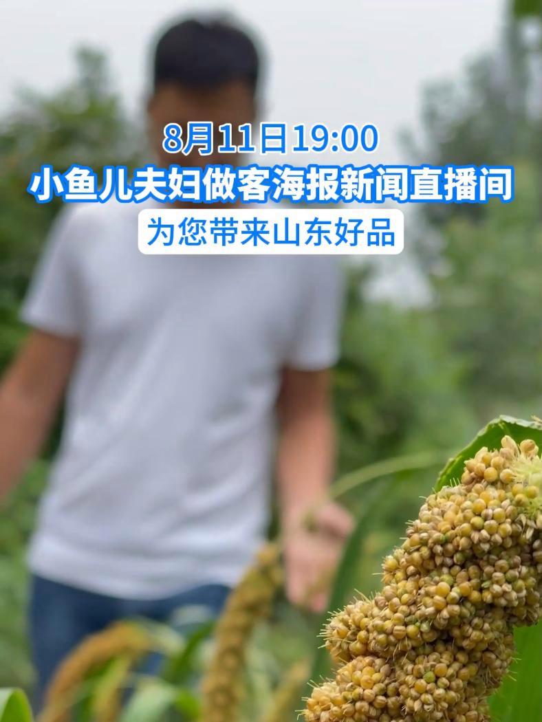 8月11日19:00,@小鱼儿夫妇 810山东好品 做客海报新闻直播间,为您带来山东好品