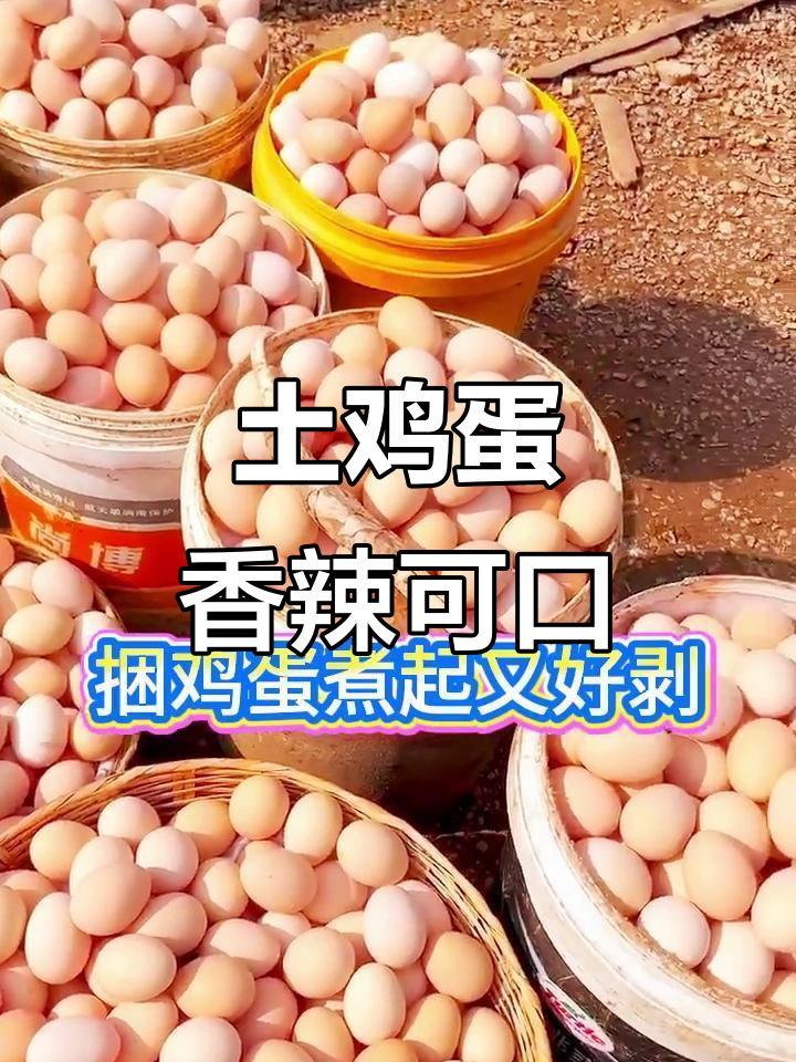 农家散养笨鸡蛋,香辣美味让人停不下来