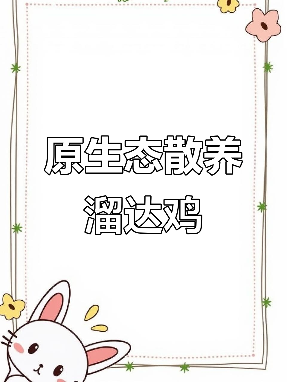散养溜达鸡,自由奔跑的土鸡养殖基地