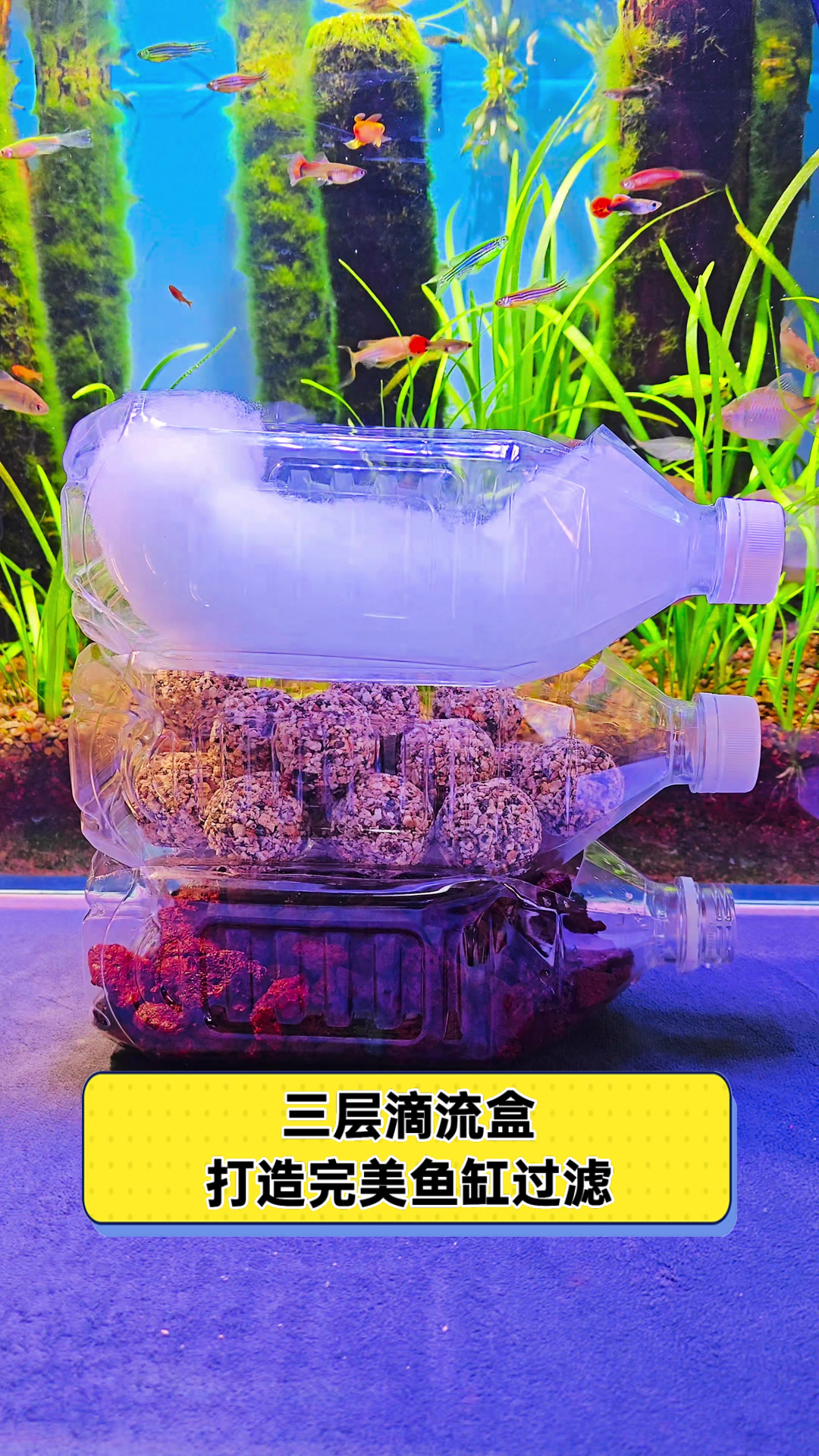 三层滴流盒，打造完美鱼缸过滤