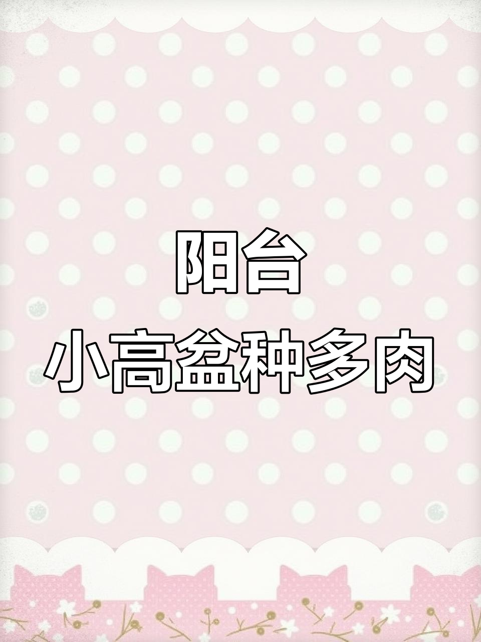 小高盆多肉，室内也能养出露养效果