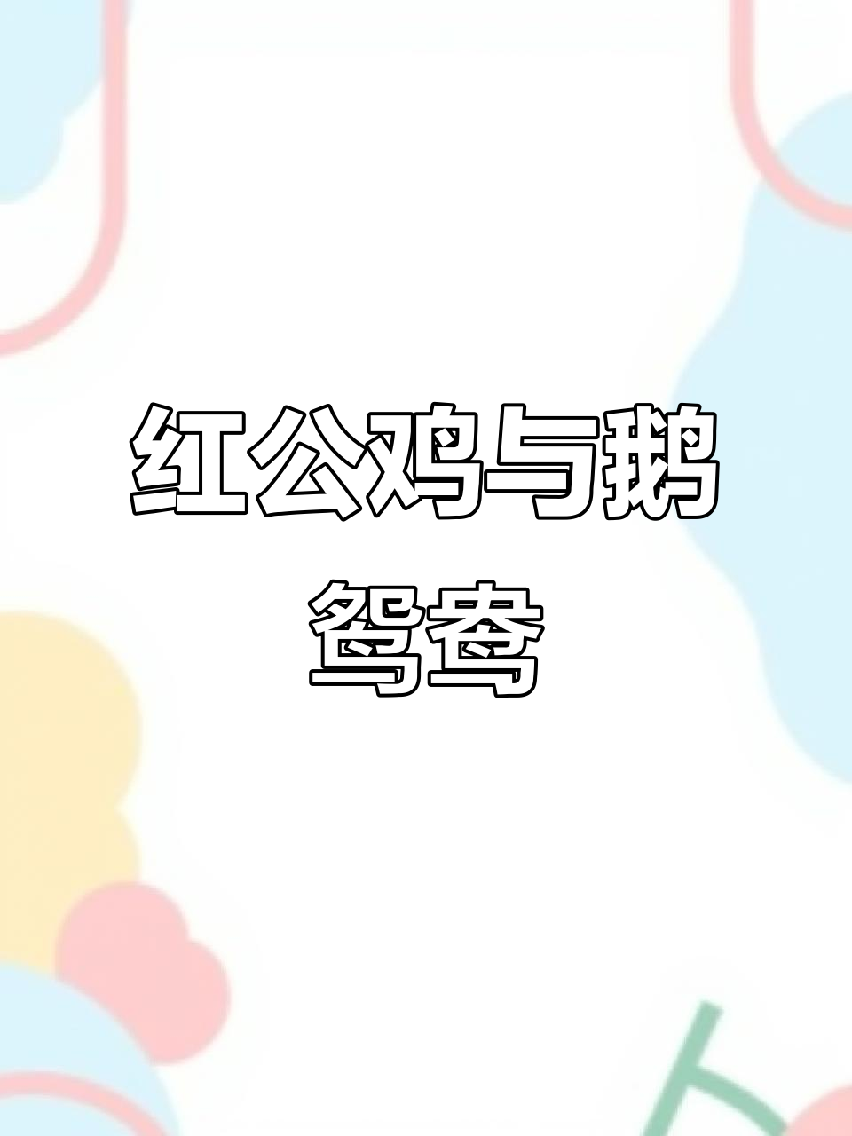 农村散养红公鸡,鹅鸳鸯相伴成长