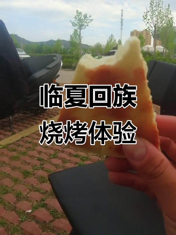 临夏回族烧烤大餐,炭火烤鱼豆腐和紫薯丸子超美味