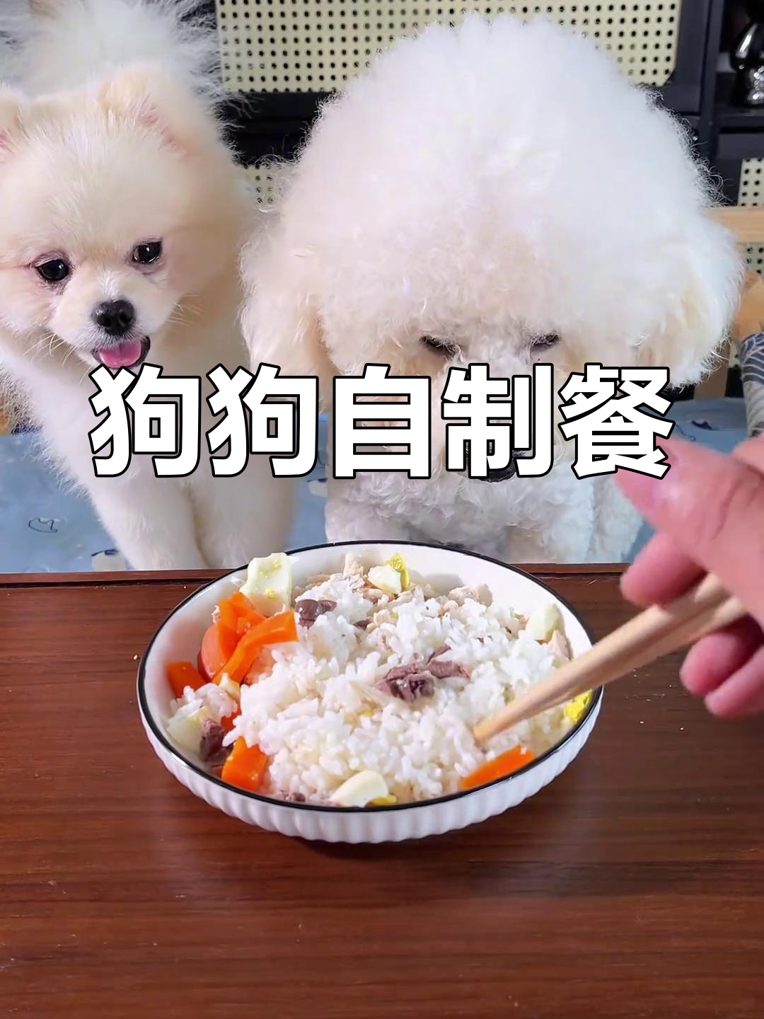 自制狗饭,营养又省钱,比熊吃得健康