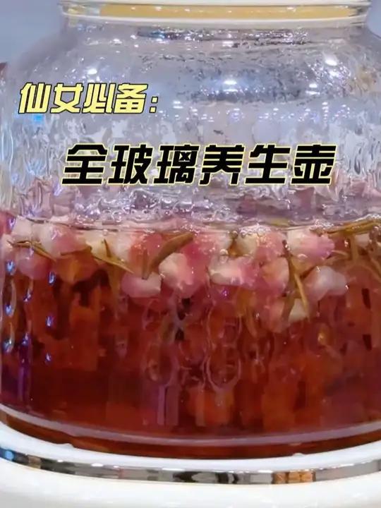 小熊全玻璃养生壶煮茶家用母婴多功能恒温壶炖煮壶电热水壶煎药壶 养生壶 养生壶推荐 养生壶全