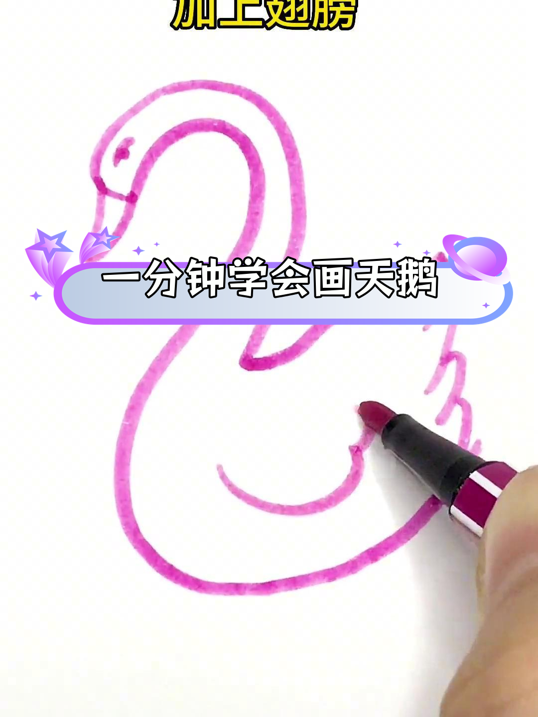 轻松学画白天鹅,简单几步搞定
