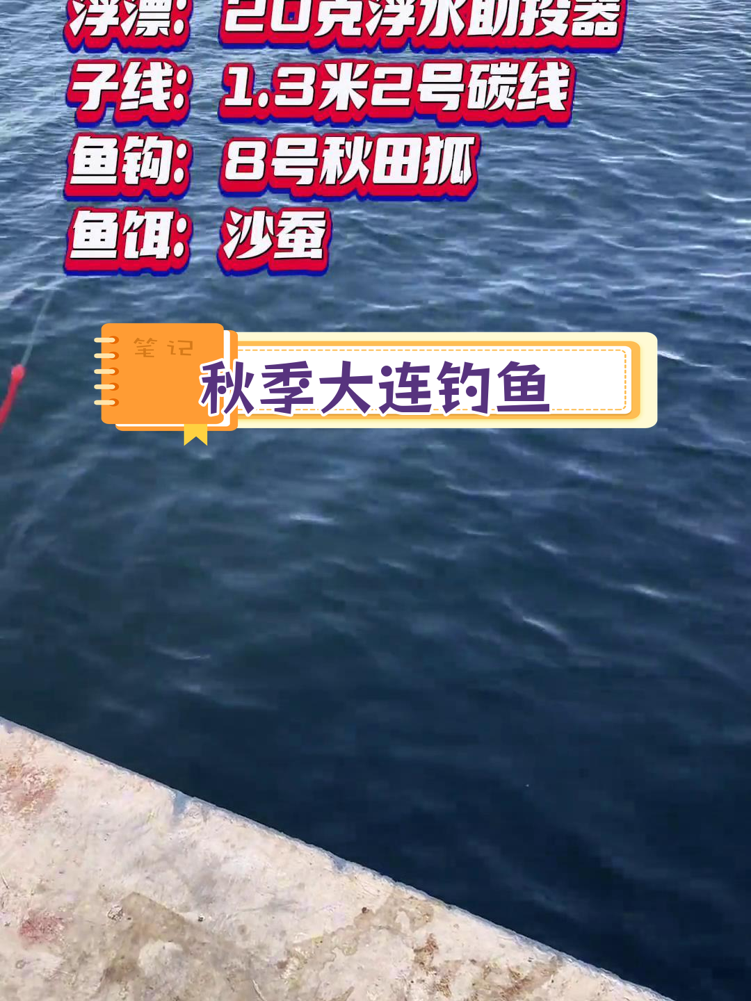 大连海钓日记:南风4级,下午5点收获大棒鱼