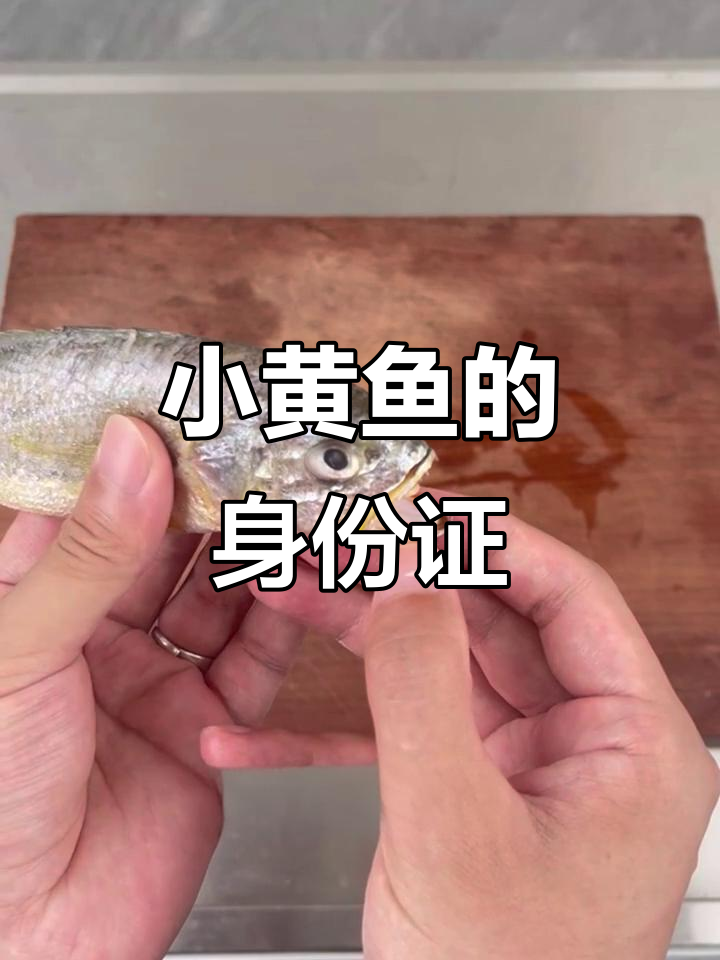 小黄鱼耳石揭秘:年龄的秘密武器
