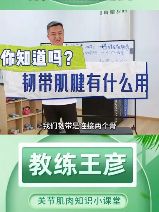 “韧带&肌腱”，不懂它俩的人最容易受伤！韧带 = 骨头与骨头之间的连接结构；肌腱 = 肌肉