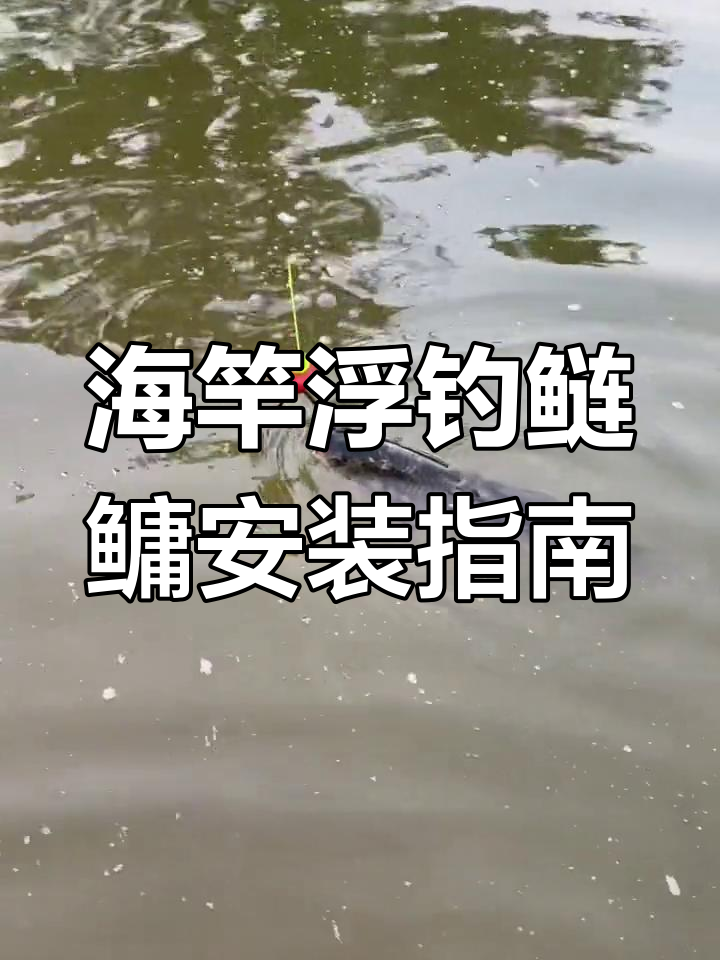 海竿浮钓鲢鳙技巧:如何组装线组,轻松底钓鲤鱼草鱼