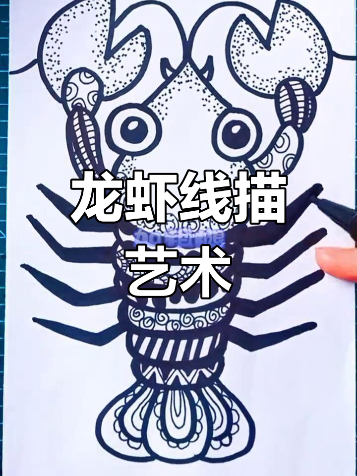 创意线描画:龙虾与故事