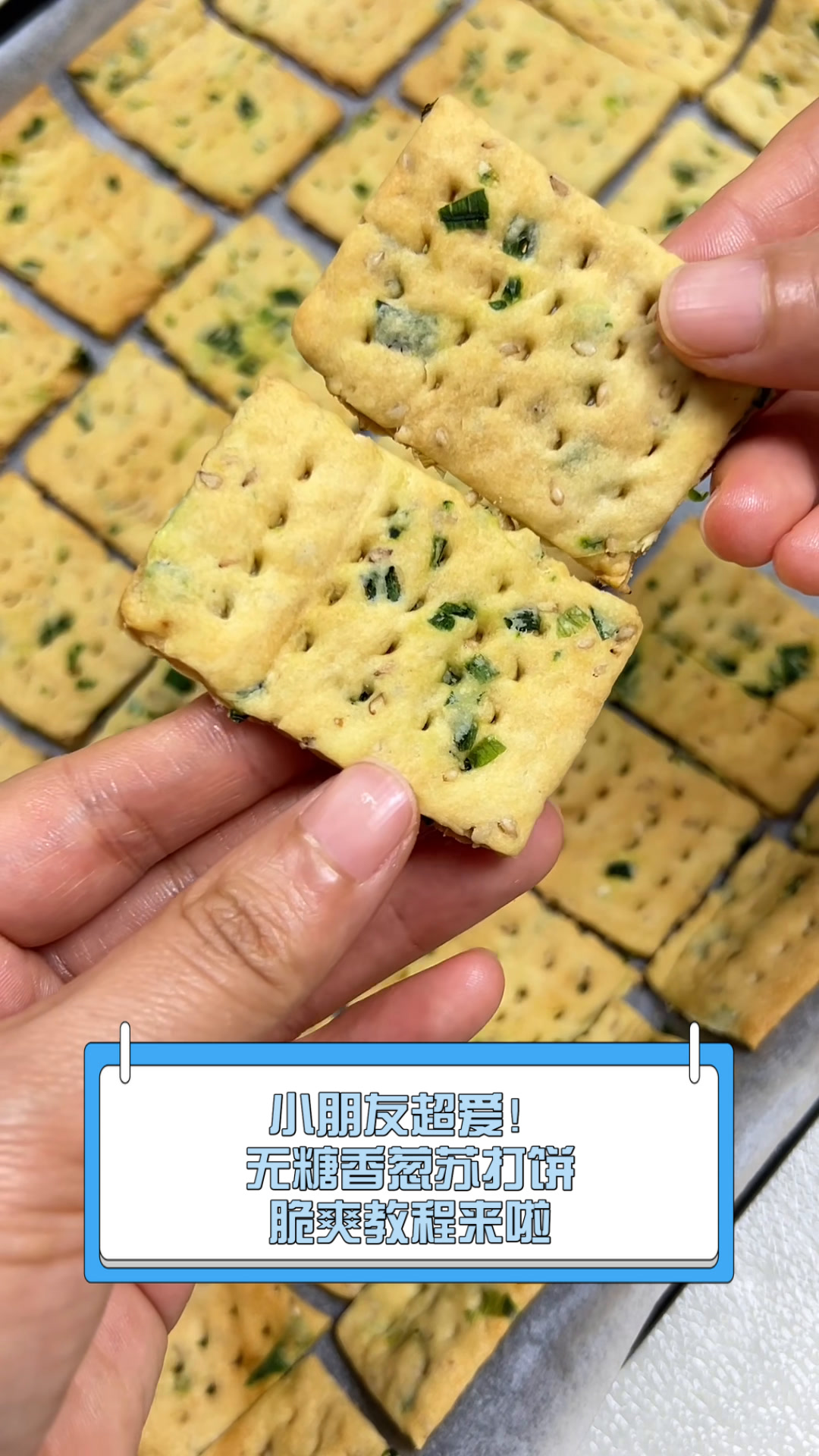 小朋友超爱!无糖香葱苏打饼,脆爽教程来啦