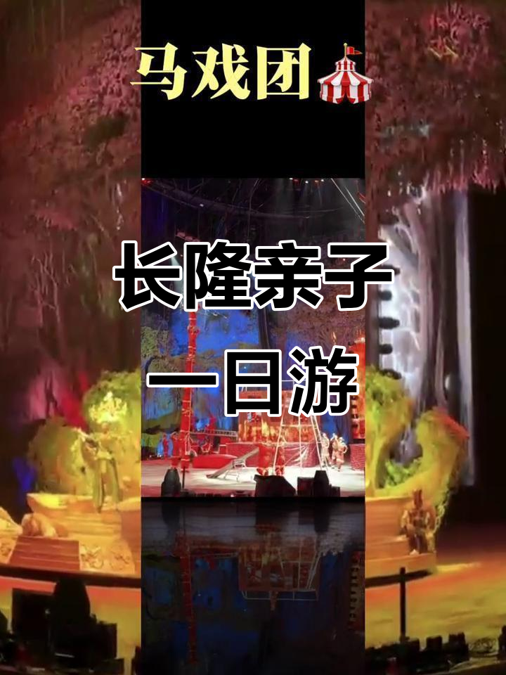 广州长隆亲子游:白虎餐厅+马戏表演,火爆全场!