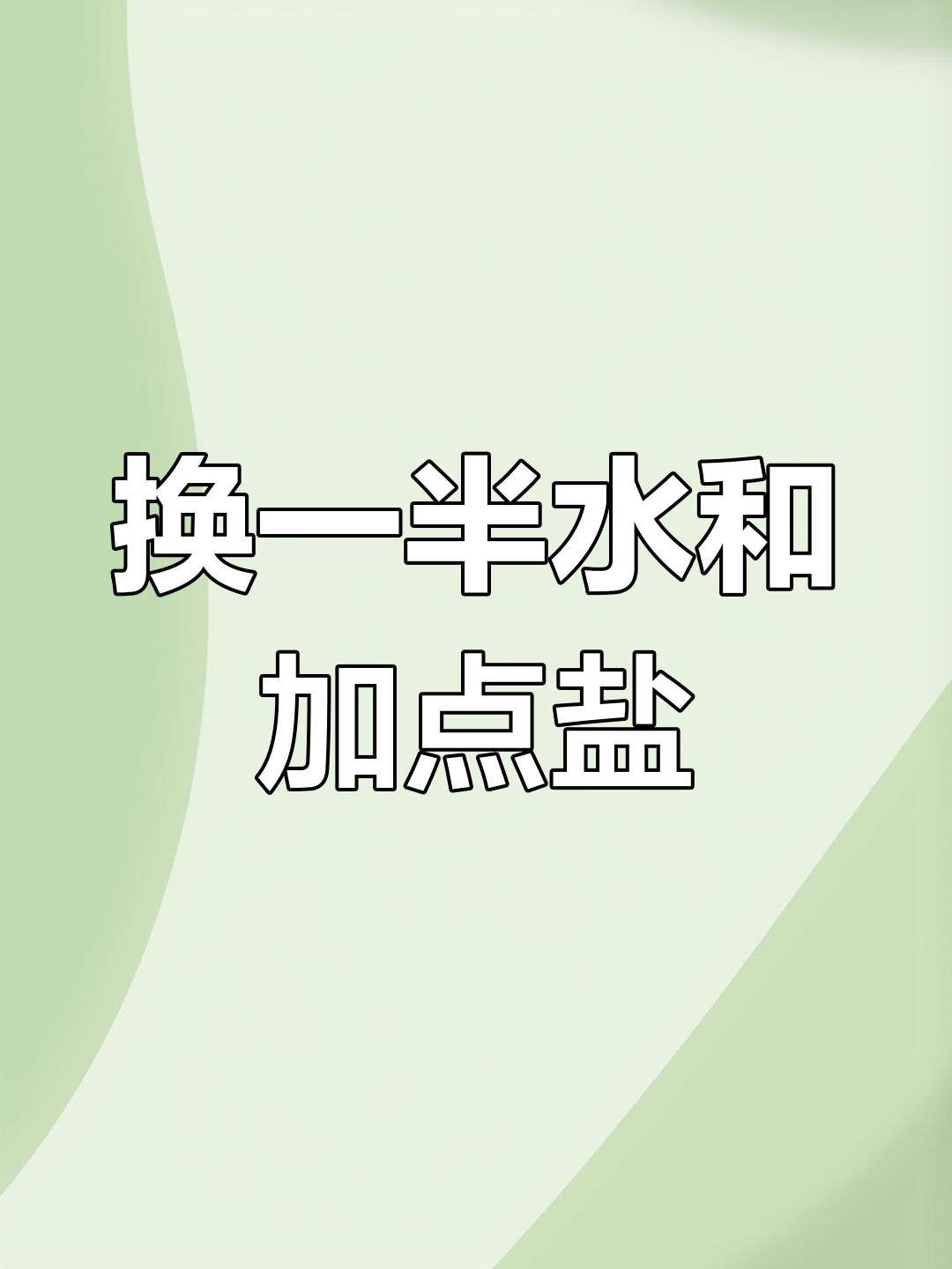 孔雀鱼生完小鱼后,如何避免母鱼死亡?换水加盐有妙招