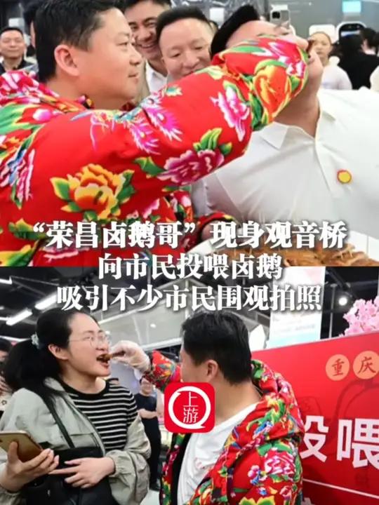 4月12日,重庆,“荣昌卤鹅哥”现身观音桥向市民投喂卤鹅 吸引不少市民围观拍照(上游新闻记