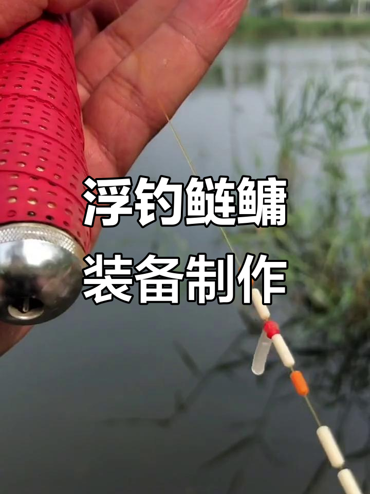 浮钓鲢鳙技巧大揭秘,如何搭配线组与鱼竿提升钓鱼体验