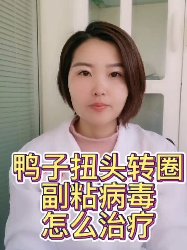 禽医静心谈鸭子扭头转圈鸭副粘病毒怎么治疗