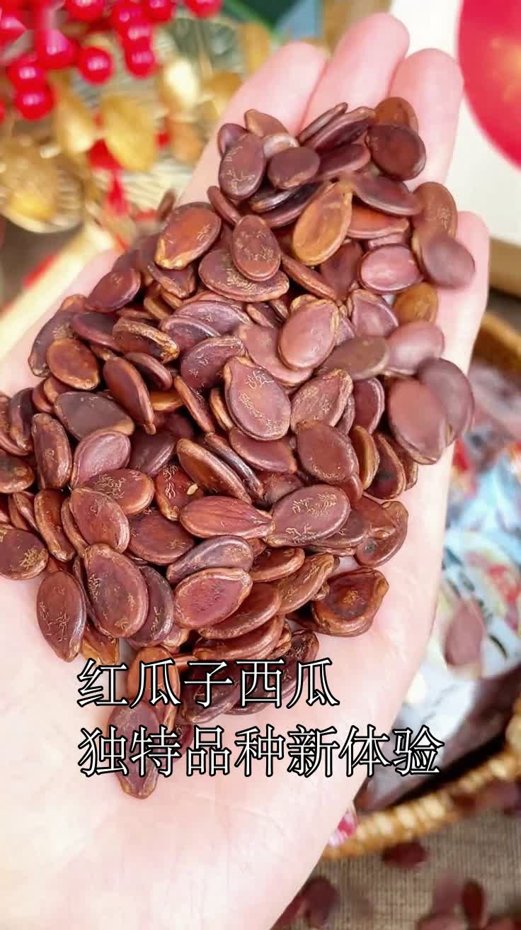 红瓜子西瓜独特品种新体验