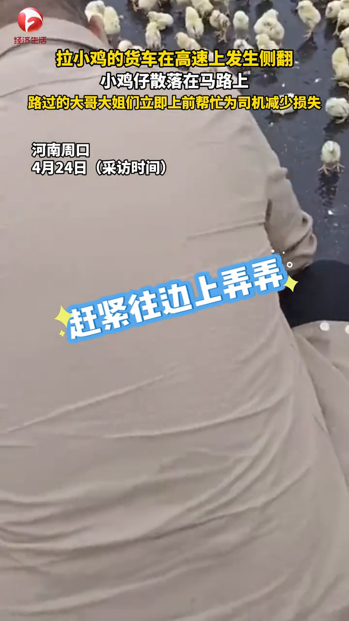 拉小鸡货车在高速上侧翻 路过的大哥大姐们立即上前帮忙