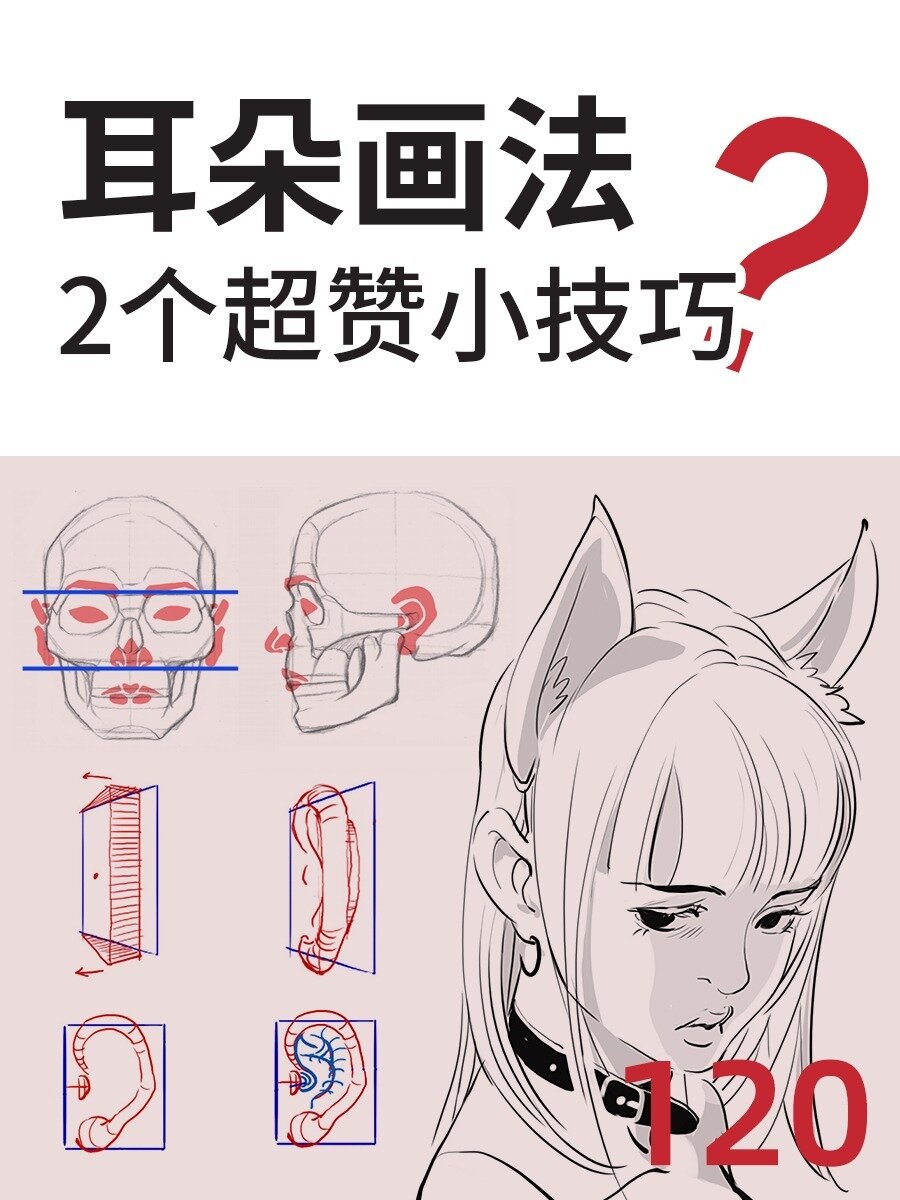 绘画教程:耳朵的画法