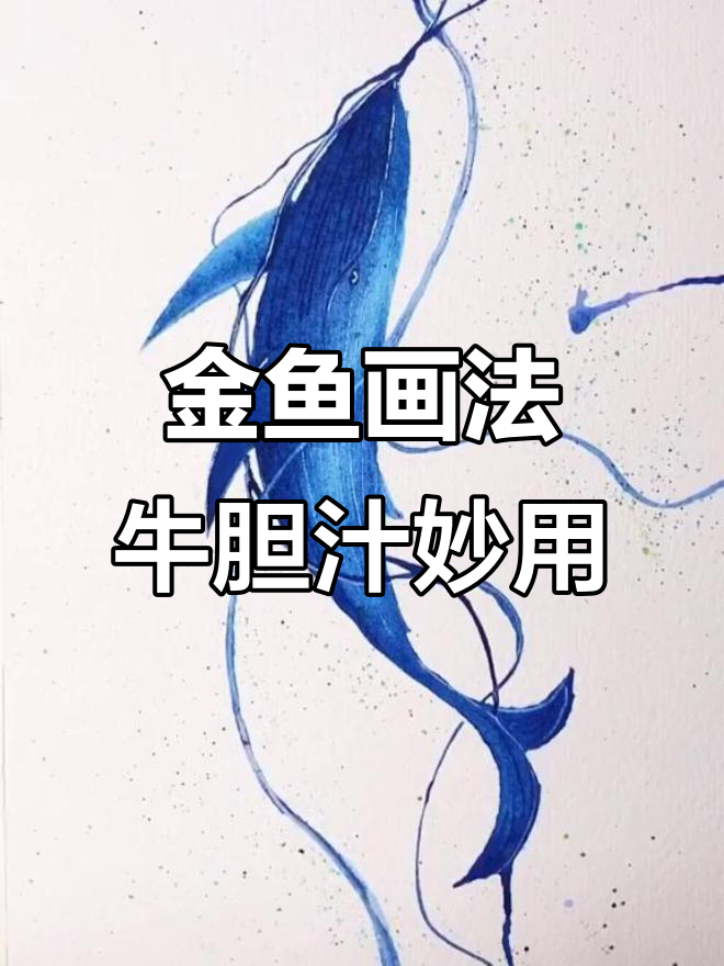 牛胆汁让金鱼更生动,鲸鱼线条流畅技巧大揭秘