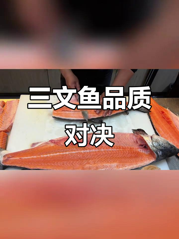 帝王鲑与法罗三文鱼大对比,口感鲜美有奶香