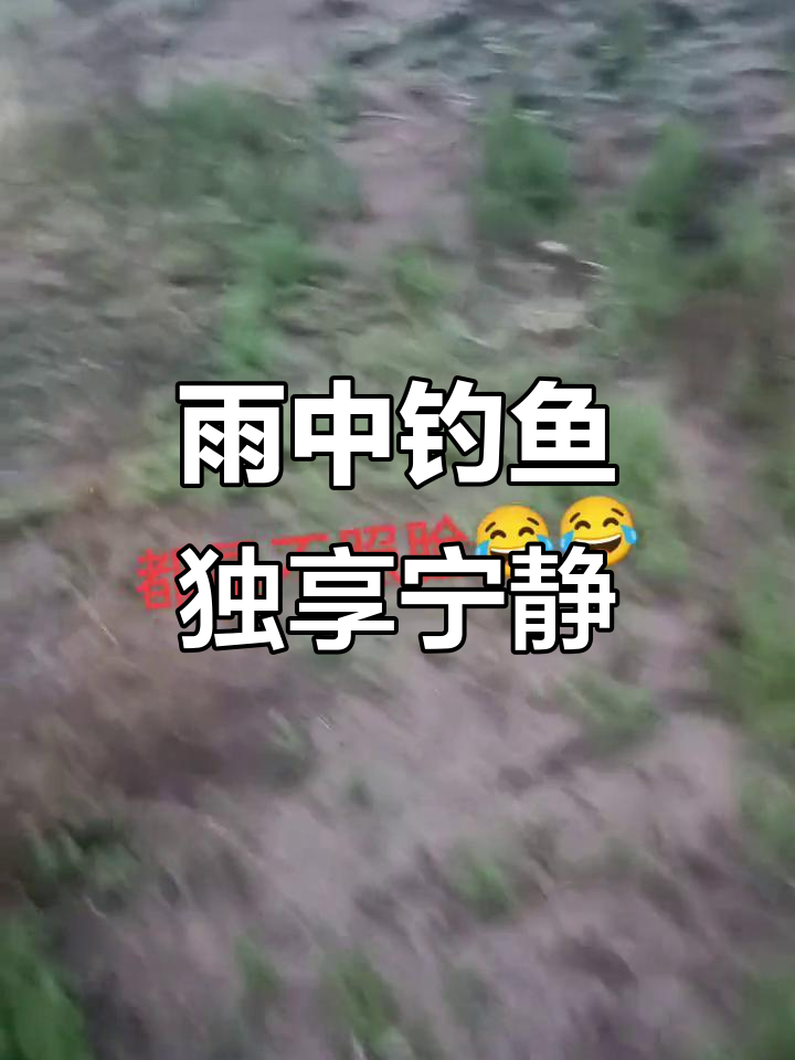 下雨天钓鱼,车停河边享受孤独时光
