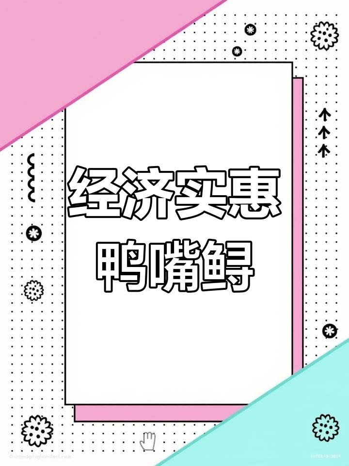 鸭嘴鲟鱼大量到货,送礼首选