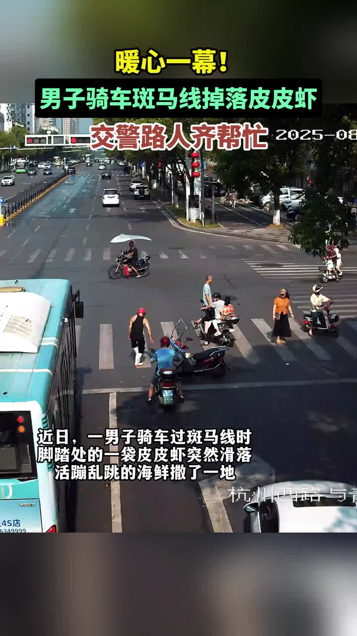 「视频」小小意外见证城市温情！男子骑摩托车斑马线掉落皮皮虾，警民携手开展救虾行动