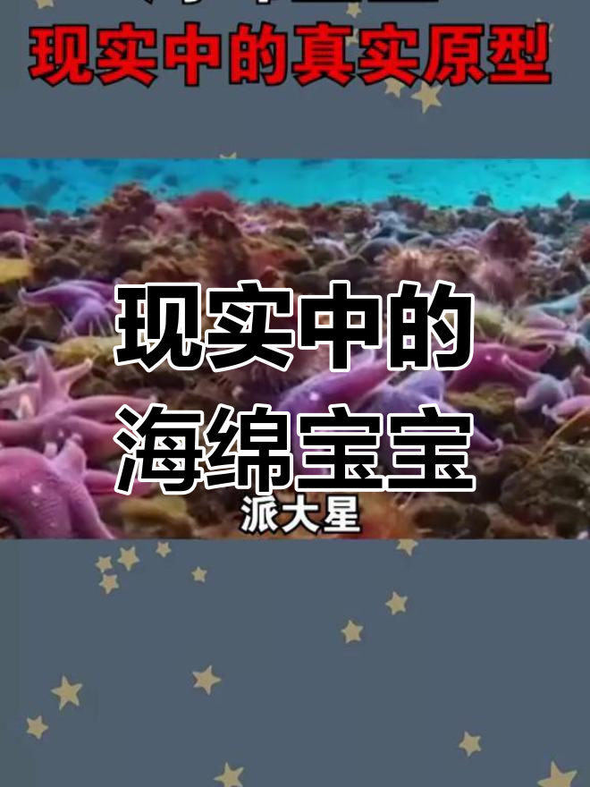 海绵宝宝原型揭秘,最后一个你绝对想不到