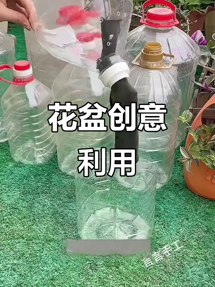 矿泉水瓶变花盆,省心又环保,外出几天也不怕植物枯萎!