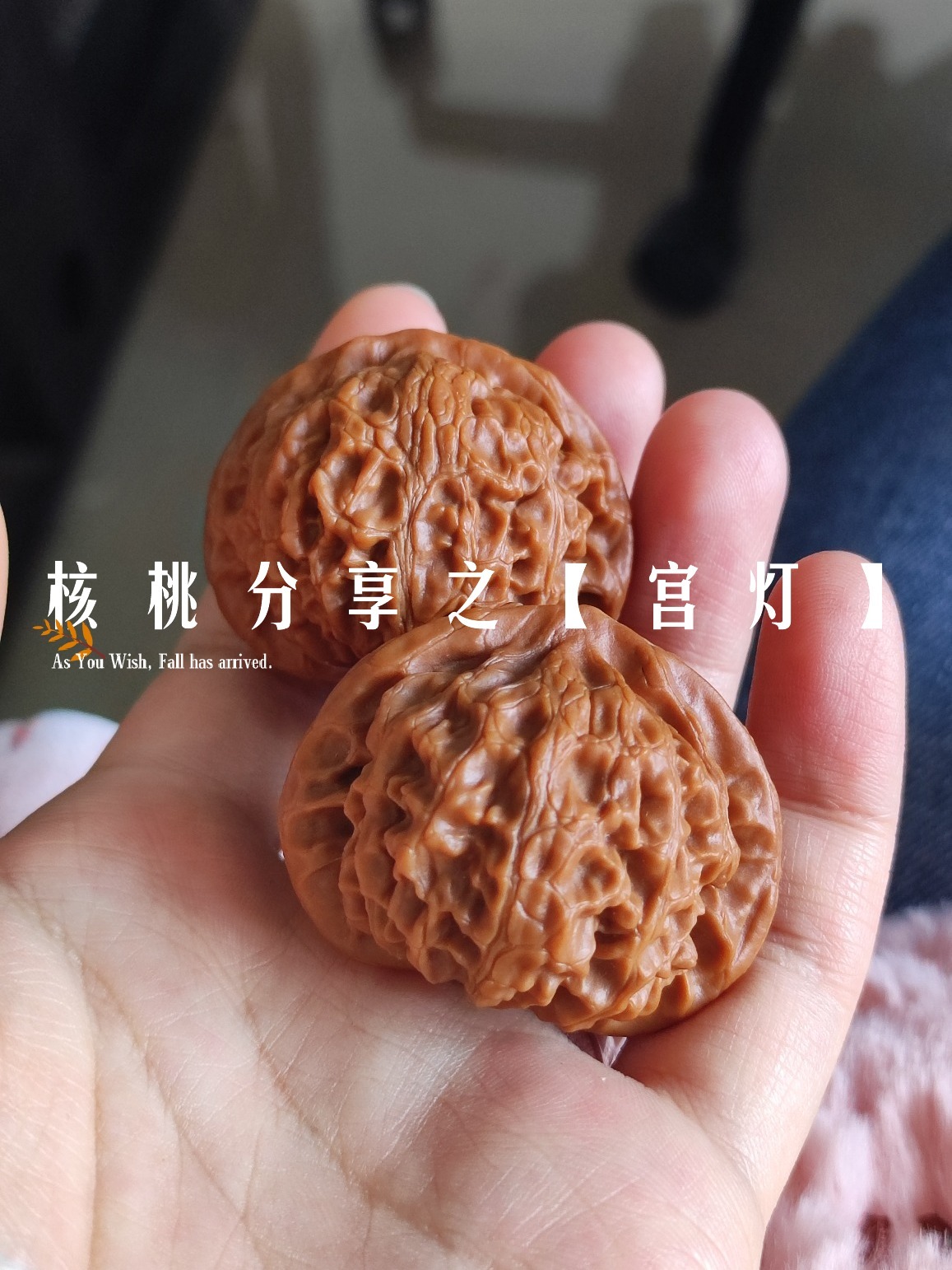 核桃分享之「宫灯」