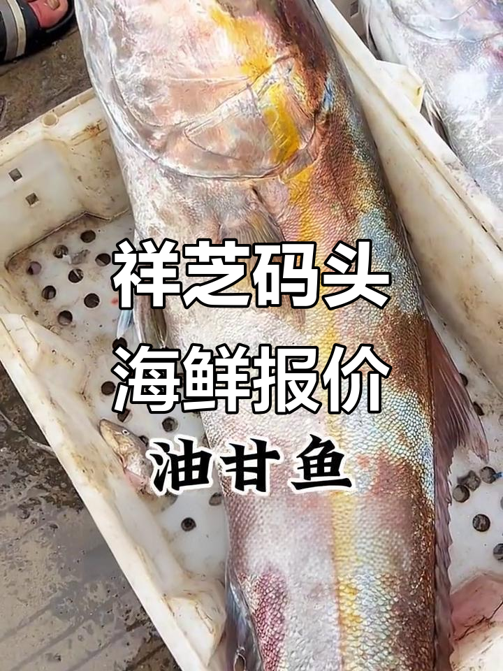 翔芝码头海鲜价格大揭秘，斗鲳鱼、黑虎虾等一应俱全