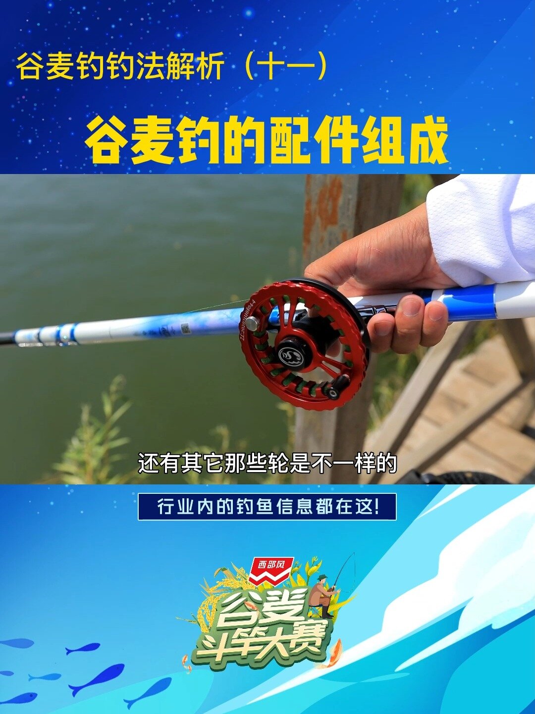 谷麦竿与台钓竿的配件有何不同为什么没有主线子线之分七星漂为什