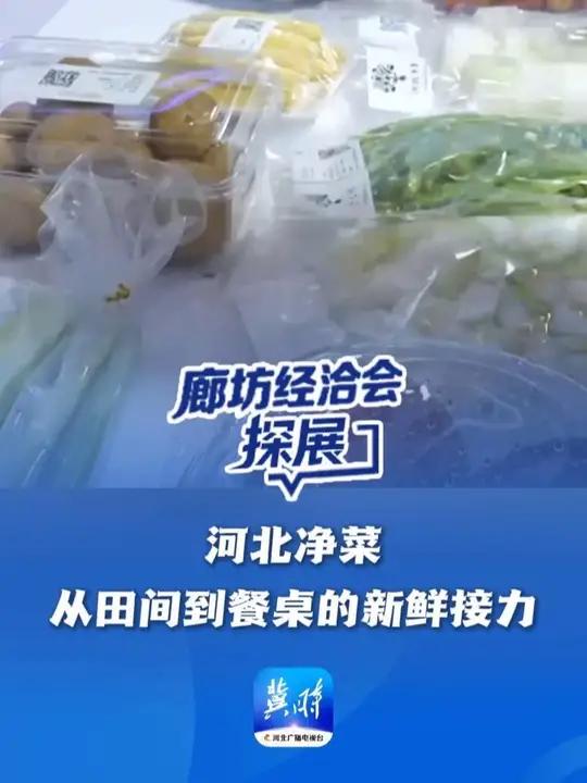 廊坊经洽会 · 探展｜河北净菜：从田间到餐桌的新鲜接力 