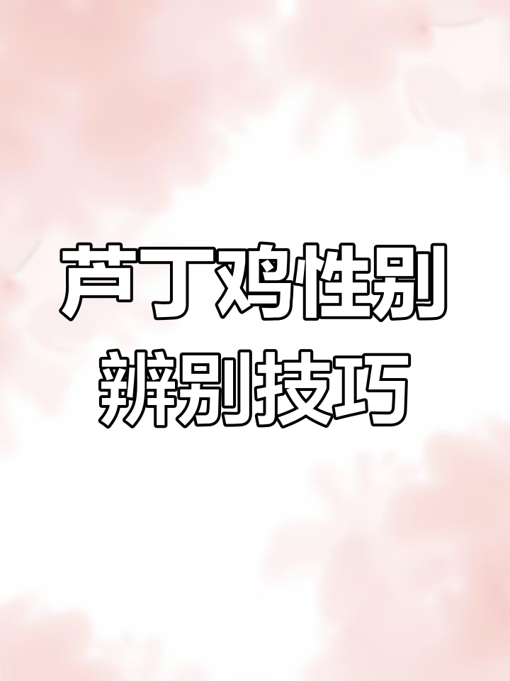 如何区分芦丁鸡公母?