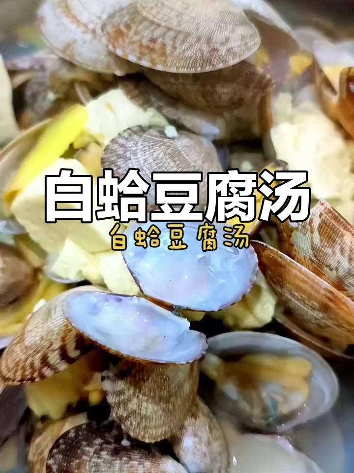 春天必喝的鲜美白蛤豆腐汤