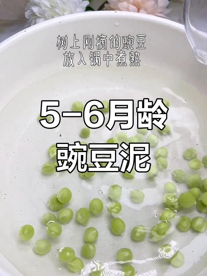 6月龄宝宝豌豆泥做法,营养辅食首选