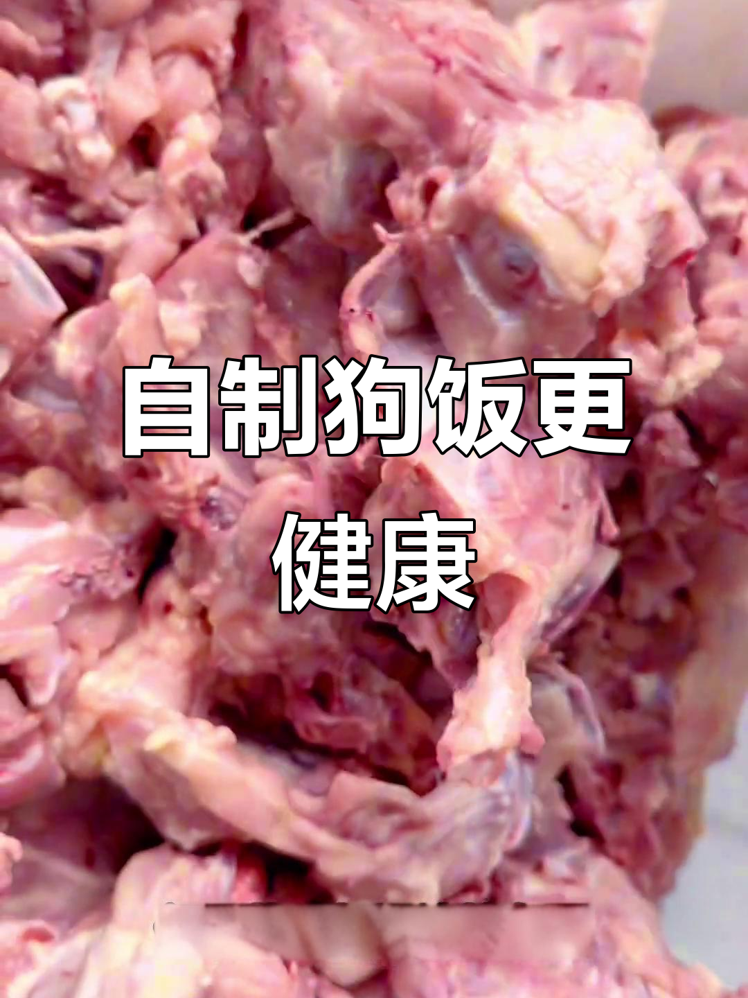 狗狗健康从自制狗饭开始,省钱又营养