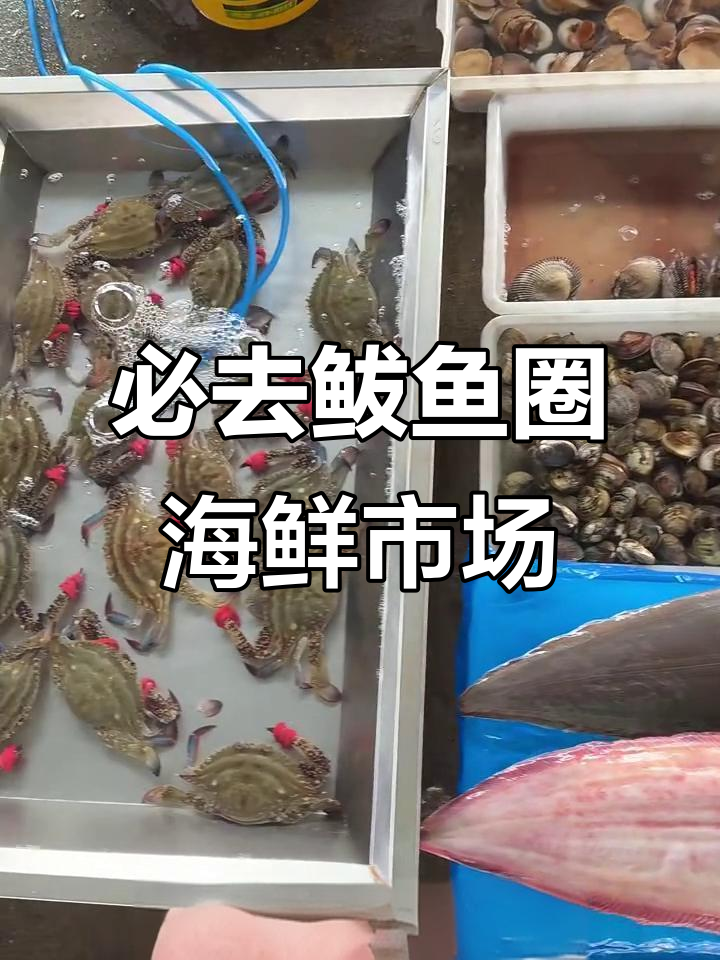 鲅鱼圈海鲜市场大揭秘，超值海味等你来挑