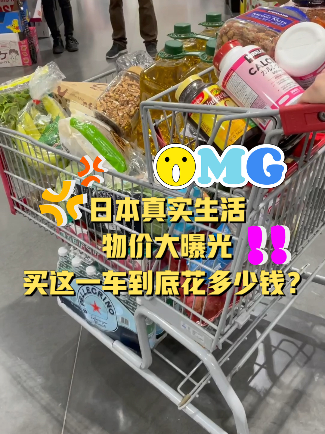 日本costco超市买菜,真实物价大曝光