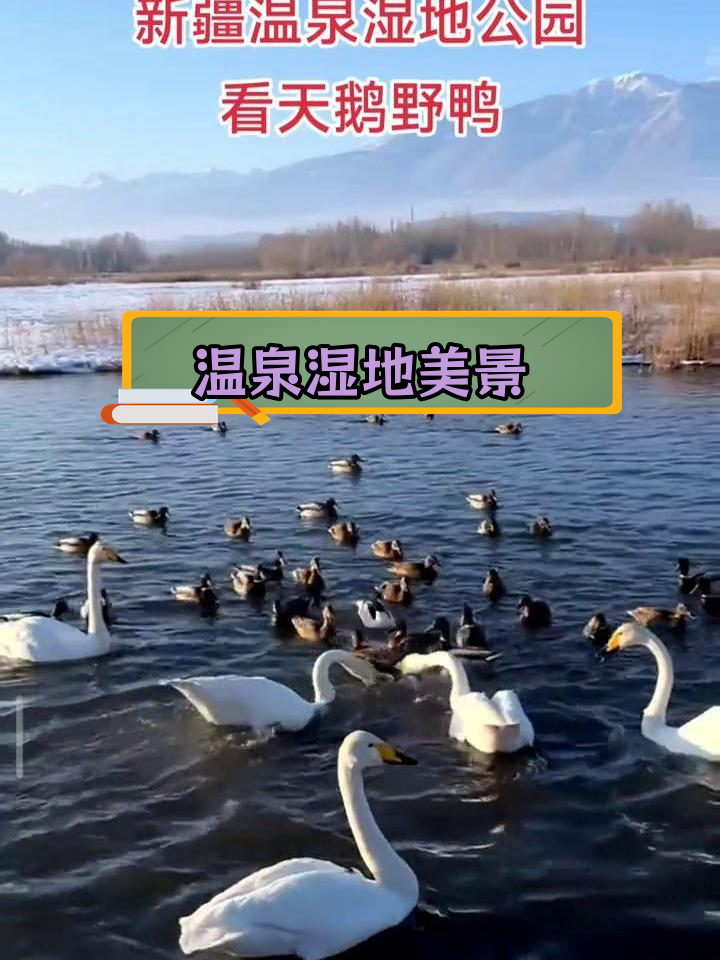 新疆温泉博尔塔拉河湿地公园的独特魅力