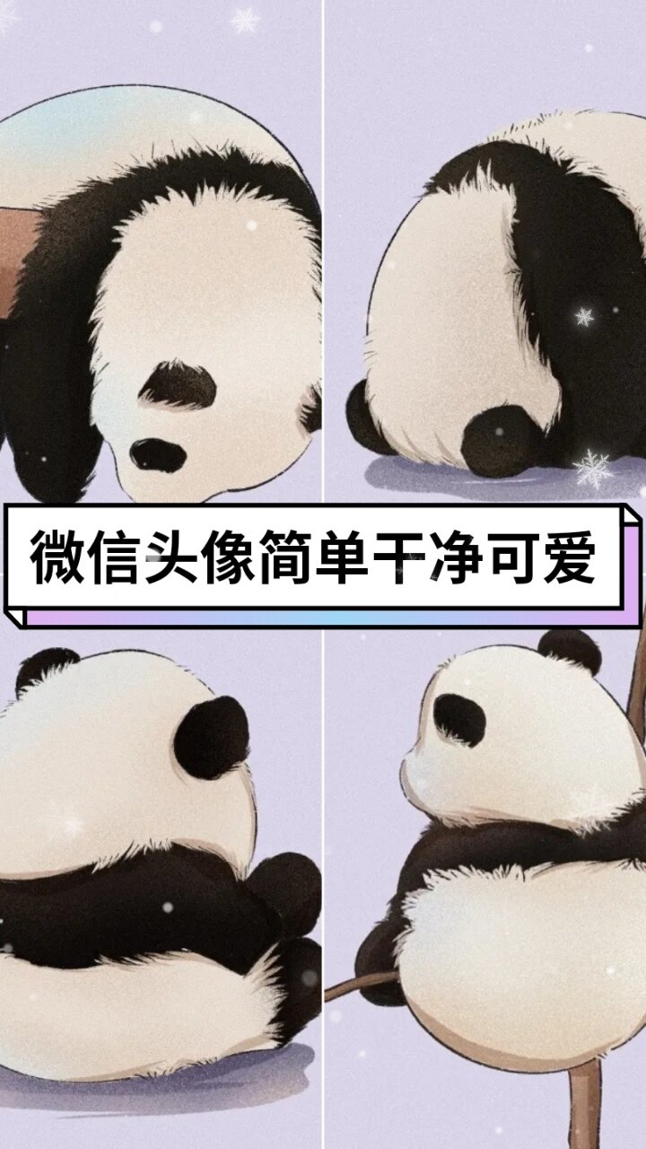 微信头像简单干净可爱 可可爱爱的头像